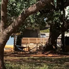 Local da construção de onde os cachorros fugiram - Foto: Divulgação