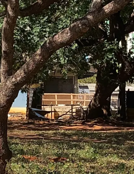 Local da construção de onde os cachorros fugiram - Foto: Divulgação