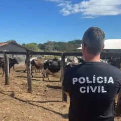 Animais são avaliados em R$ 65 mil reais estão à disposição do Poder Judiciário - Foto: Divulgação SSP/Governo do Tocantins