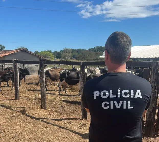 Animais são avaliados em R$ 65 mil reais estão à disposição do Poder Judiciário - Foto: Divulgação SSP/Governo do Tocantins