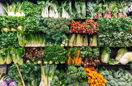 Sete hortaliças que ajudam na imunidade e podem ser cultivadas em casa