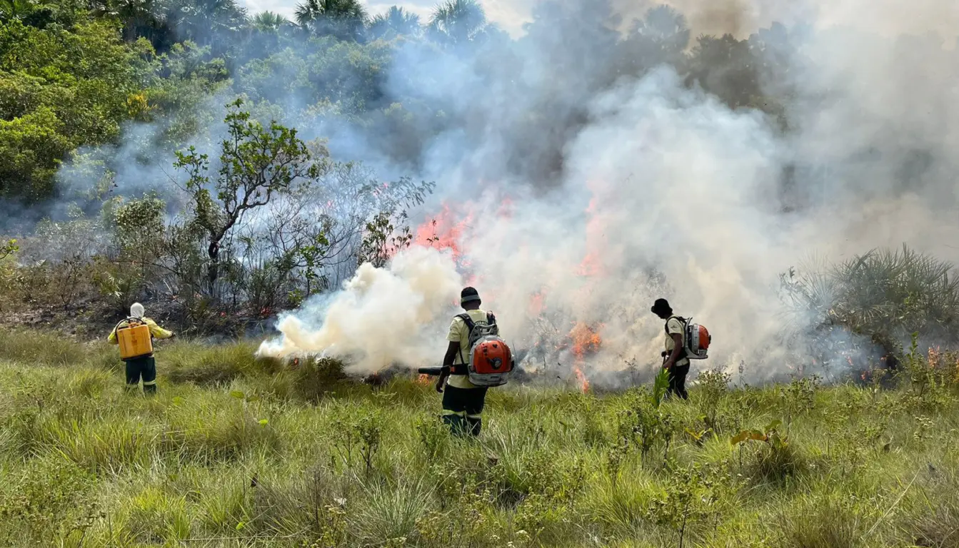 Ação preventiva do MIF busca reduzir o risco de incêndios florestais no período de estiagem - Foto: Naturatins/Governo do Tocantins
