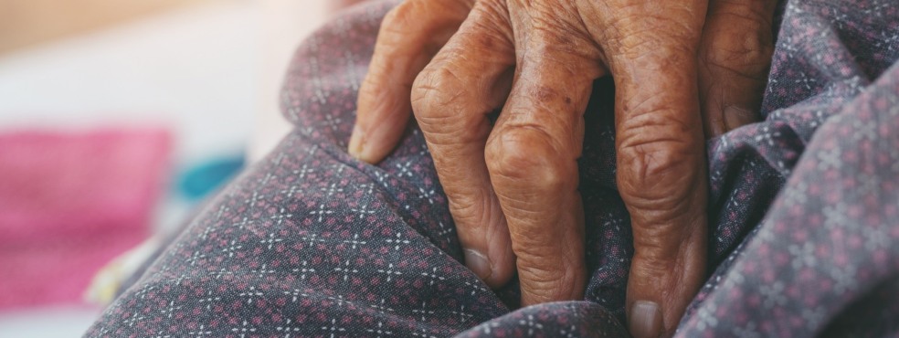 Local tem até agosto deste ano para regularizar atuação - Foto: FreePik