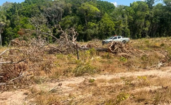 Polícia Militar chegou ao local após receber uma denúncia — Foto: Divulgação/PMTO
