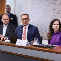 Em audiência com ministro da Integração, Professora Dorinha propõe microcrédito emergencial para população afetada por calamidades