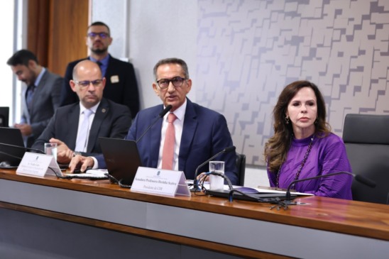 Em audiência com ministro da Integração, Professora Dorinha propõe microcrédito emergencial para população afetada por calamidades