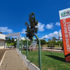 UFNT oferta vagas para professores substitutos com salários de até R$ 8 mil; veja edital