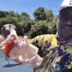Pescador viu peixe ser devorado por piranhas em Lagoa da Confusão — Foto: Aurileia Gomes de Andrade dos Santos