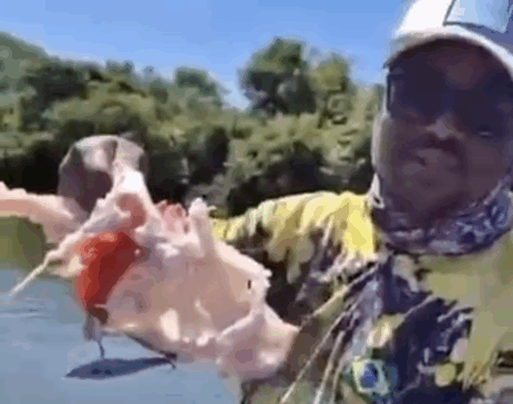 Pescador viu peixe ser devorado por piranhas em Lagoa da Confusão — Foto: Aurileia Gomes de Andrade dos Santos