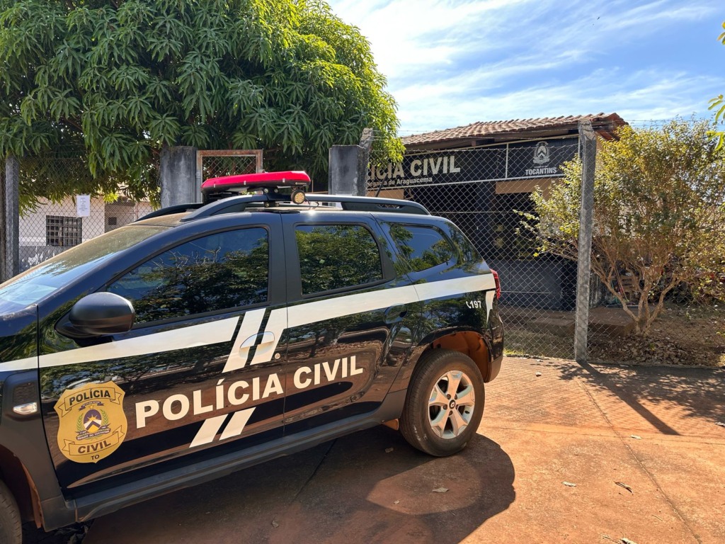 Indivíduo se passava por corretor de imóveis sem possuir a devida habilitação - Foto: Divulgação PC-TO