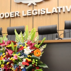 Vereadores de Palmas se preparam para retomar atividades dia 5