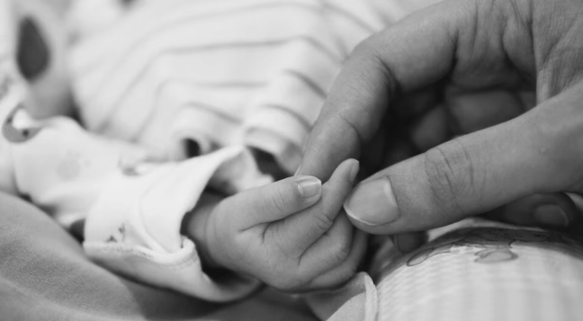 

“O propósito é ajudar as mães e pais a se recuperarem por meio de uma rede de apoio”, explicou o deputado