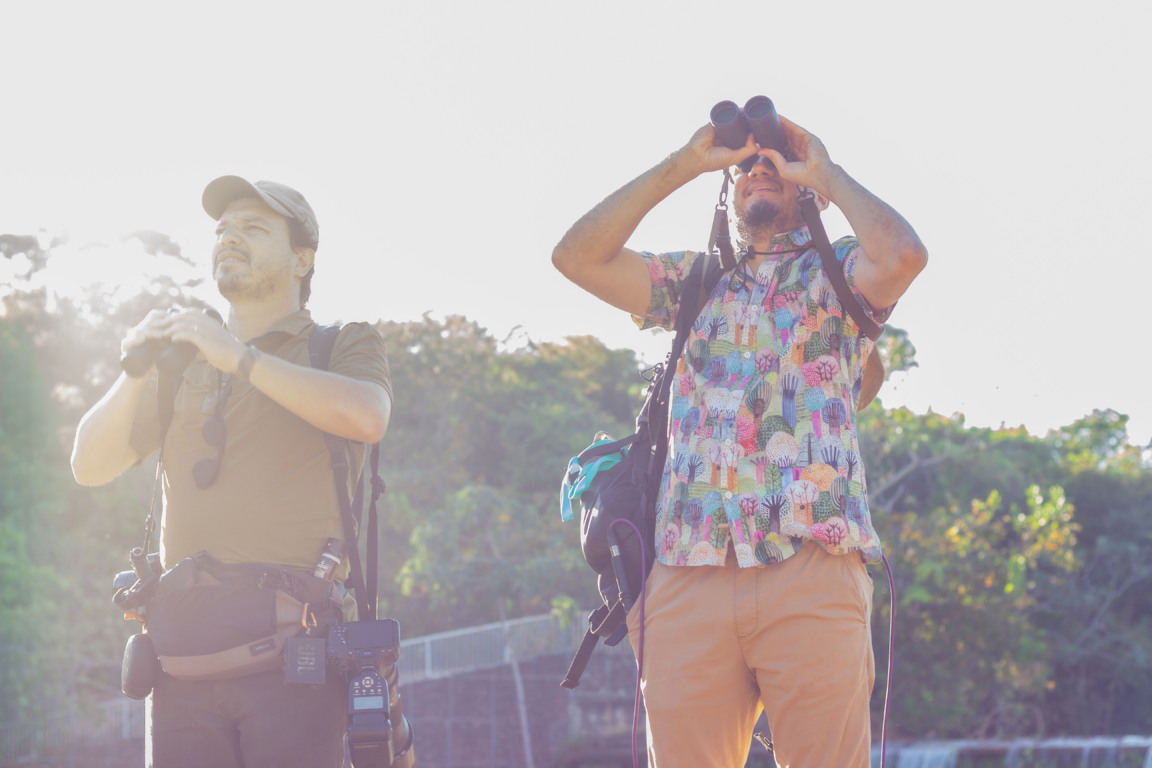 Projeto transforma cantos de aves do Parque Cesamar em músicas instrumentais inéditas