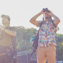Projeto transforma cantos de aves do Parque Cesamar em músicas instrumentais inéditas