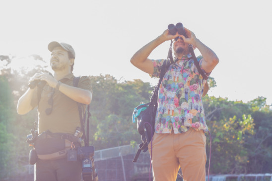 Projeto transforma cantos de aves do Parque Cesamar em músicas instrumentais inéditas