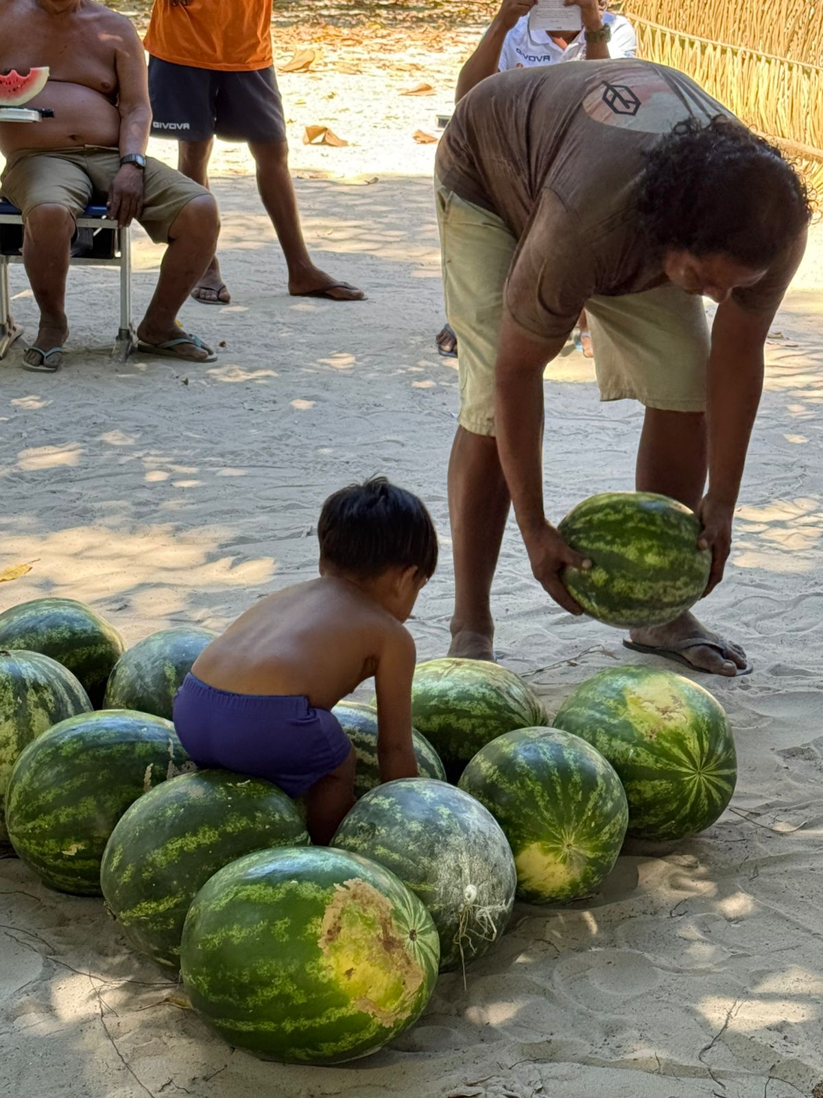 Melancia em terra indígena, Foto: @MarcoJacobBrasil