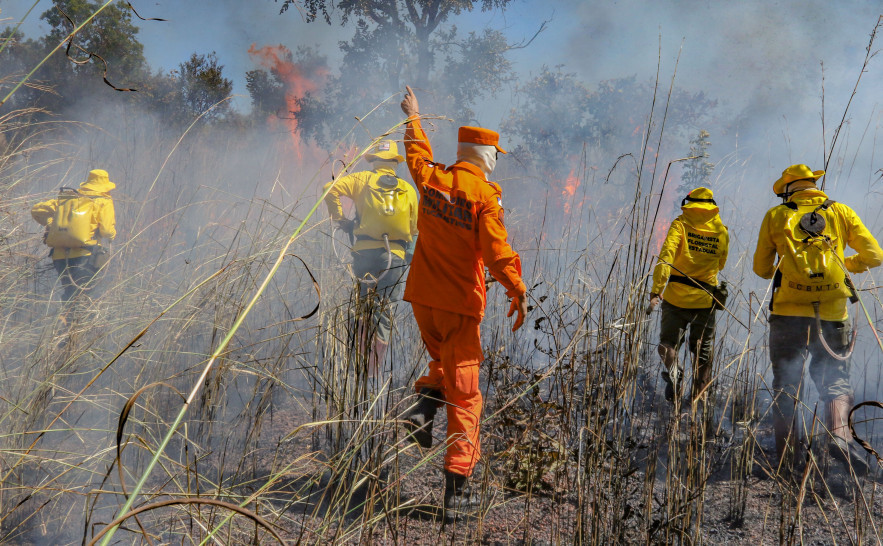 Bombeiros militares e brigadistas combatem incêndio florestais -Foto:  Luiz Henrique Machado/Governo do Tocantins