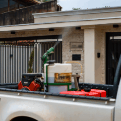 Semus adota estratégias variadas para combater transmissores de arborivoses – Foto Arquivo Semus