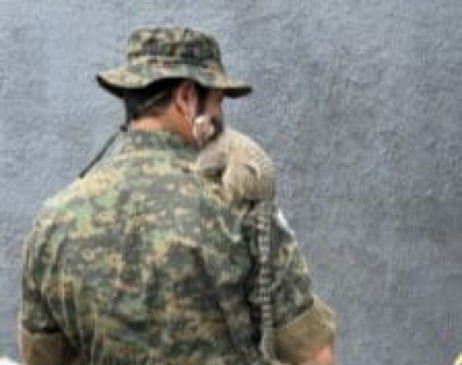 Os dois saguis foram encaminhados ao Centro de Fauna do Tocantins / Foto: Divulgação
