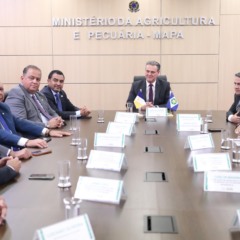 Senador Eduardo Gomes e governador articulam com ministro da Agricultura ações para proteger exportações da carne tocantinense