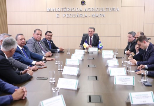 Senador Eduardo Gomes e governador articulam com ministro da Agricultura ações para proteger exportações da carne tocantinense