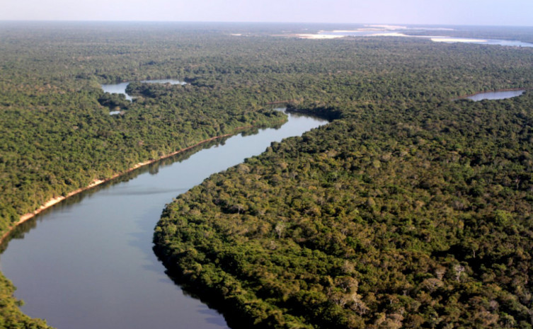 Floresta do Parque Estadual do Cantão - Foto: Fernando Alves/Governo do Tocantins
