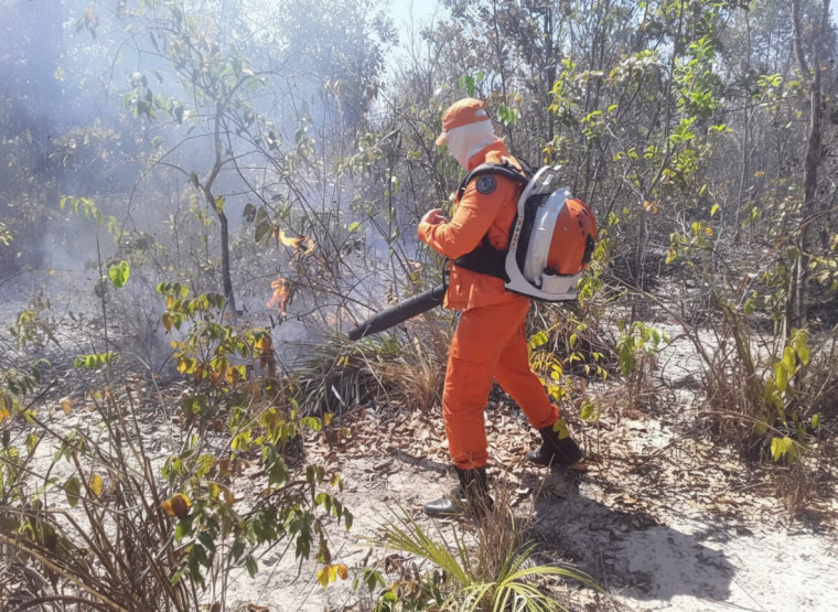 Incêndios devastam mais de 4 mil hectares no sudeste do TO; bombeiros e brigadistas atuam sem descanso