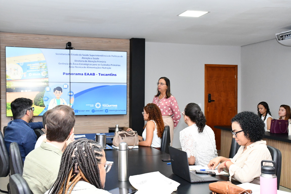  A reunião ocorreu na da SES-TO com a condução da Área Técnica da Saúde da Criança - Foto: Ananda Santos/Governo do Tocantins