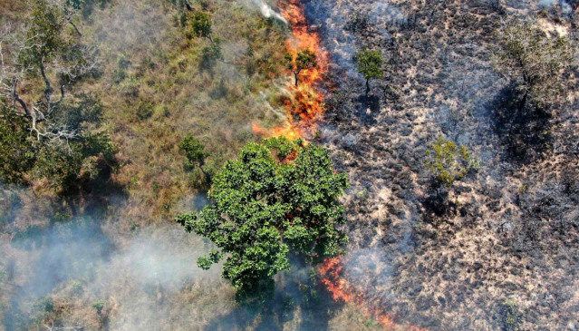 Com investimentos e prevenção, Tocantins registra queda de 28,7% na área queimada - Foto: Governo do Tocantins