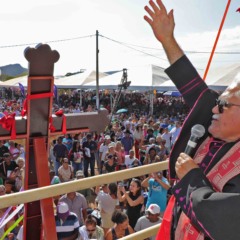Missa campal realizada no povoado Senhor do Bonfim, ponto alto das celebrações no dia 15 de agosto - Márcio Vieira/Governo do Tocantins 