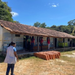 Mineradora quer explorar terras raras dentro de quilombo no Tocantins
