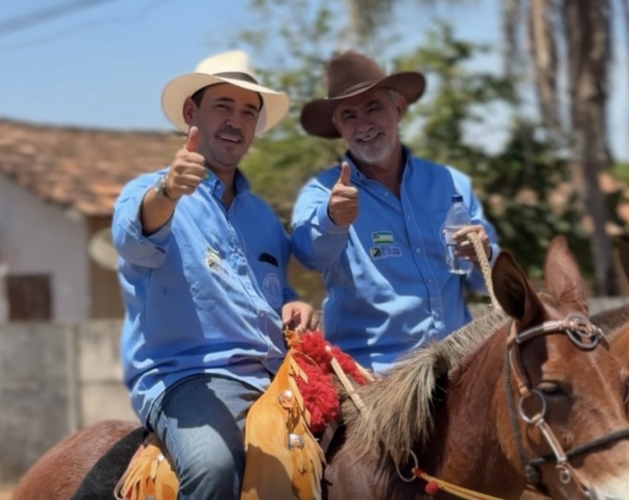 Screenshot Screenshot