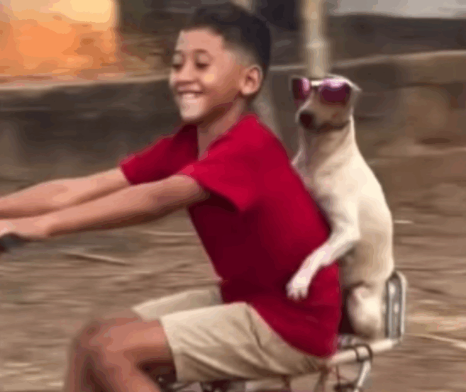 Direto do interior do TO, menino de 9 anos e sua cachorrinha “do grau” conquistam milhões na internet; VÍDEO