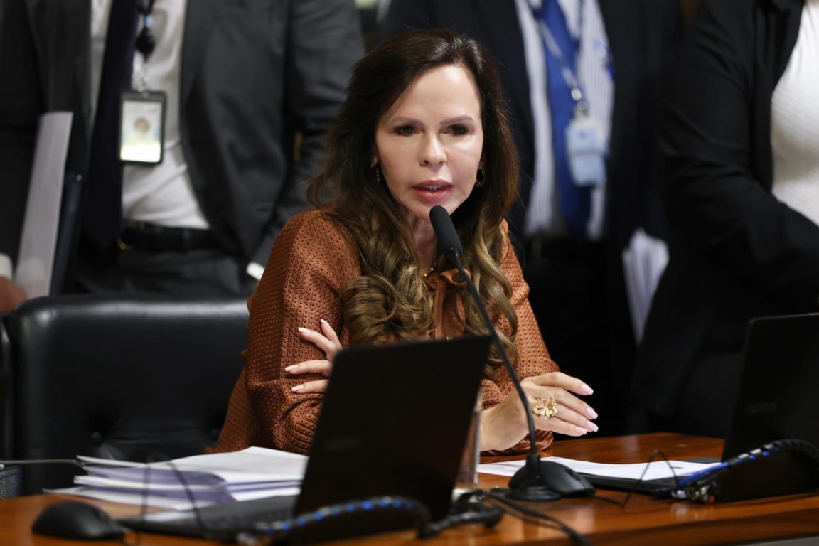 Na Suécia, Senadora Dorinha participa de evento internacional sobre Amazônia