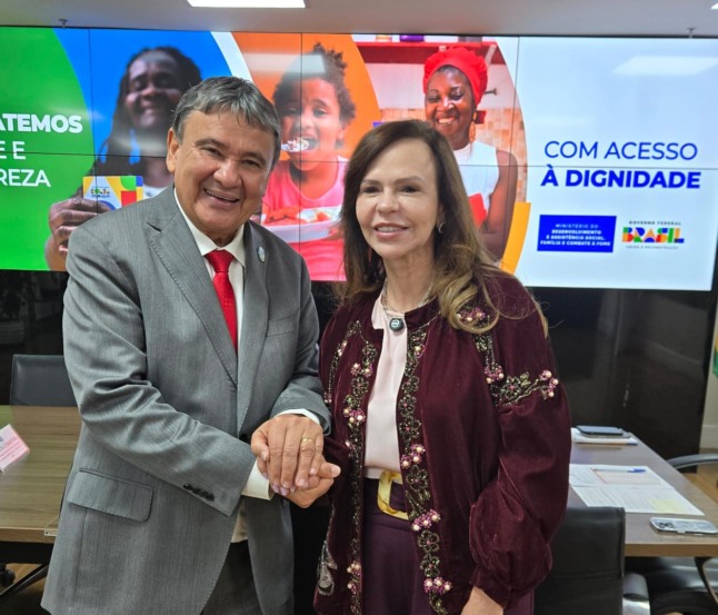 Senadora Dorinha se reúne com ministro Wellington Dias e apresenta demandas para fortalecer a assistência social no Tocantins