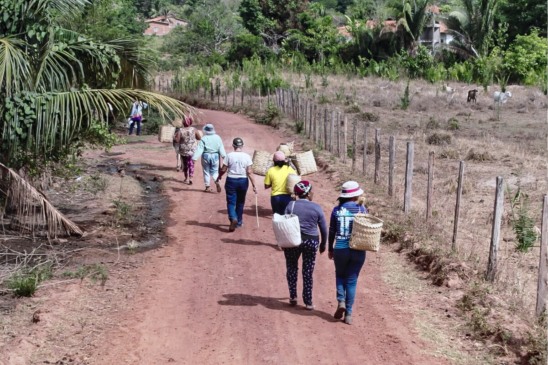 Agronegócio e capital estrangeiro pressionam modos de vida tradicionais no Cerrado, aponta ActionAid