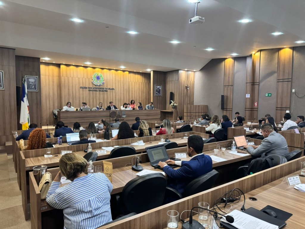 Por unanimidade, Conselho Seccional da OABTO aprova ato de desagravo contra promotor que chamou advogada de “rata”