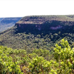 O Estado mantém como meta o desmatamento ilegal zero até 2030 - Foto: Marcel de Paula/Governo do Tocantins