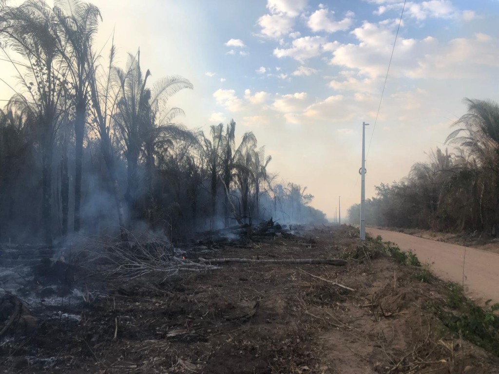 Mais de 7 mil consumidores tiveram o fornecimento de energia interrompido devido queimadas no Tocantins