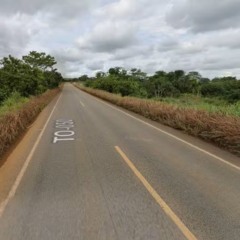 Trecho da TO-050 entre Porto Nacional e Silvanópolis — Foto: Reprodução/Google Street View