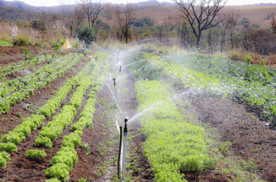 Foto: Danillo França/ MDS