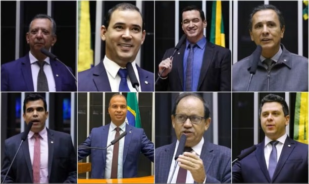 Toinho Andrade; Vicentinho Junior; Alexandre Guimarães; Carlos Gaguim; Ricardo Ayres; Filipe Martins; Eli Borges; e Tiago Dimas — Foto: Câmara dos Deputados/Reprodução