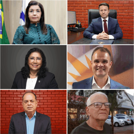 Irana de Sousa Coêlho Aguiar; Murilo Francisco Centeno; Lina Ester Barbosa Ribeiro; Elfas Cavalcante Lustosa Aragão Elvas; Washington Luiz Vasconcelos; Roberto Jorge Sahium - Fotos: Antonio Gonçalves/Adilvan Nogueira/Divulgação/Governo do Tocantins