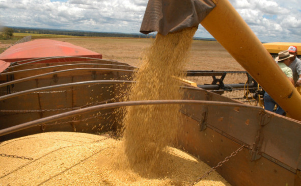 Produção agrícola - Foto:  - Divulgação/Governo do Tocantins