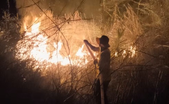 Brigadistas combateram incêndio ilegal em Dois Irmãos — Foto: Divulgação/Ascom BPMA