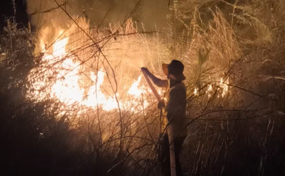 Brigadistas combateram incêndio ilegal em Dois Irmãos — Foto: Divulgação/Ascom BPMA