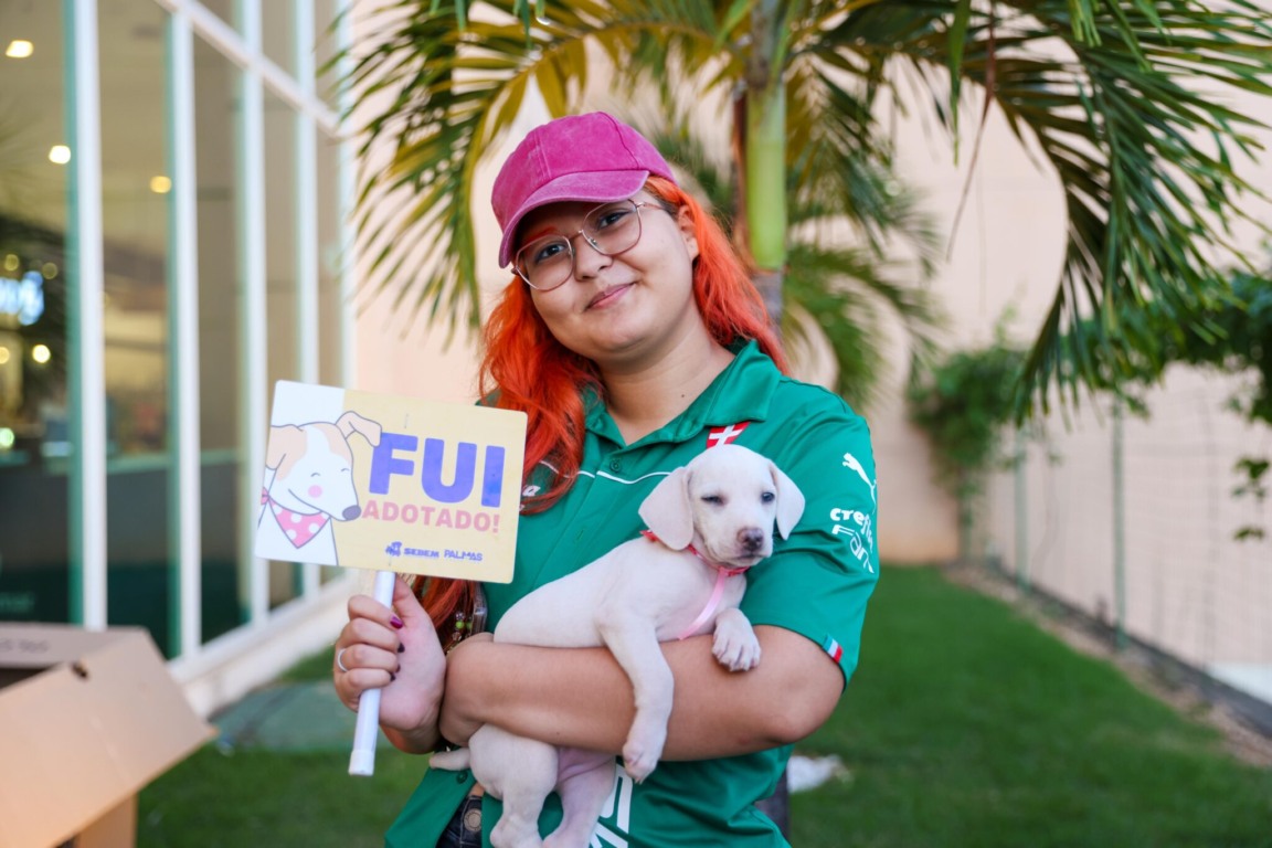 Prefeitura de Palmas promove evento para adoção de cães e gatos neste sábado, 20 Prefeitura de Palmas promove evento para adoção de cães e gatos neste sábado, 20