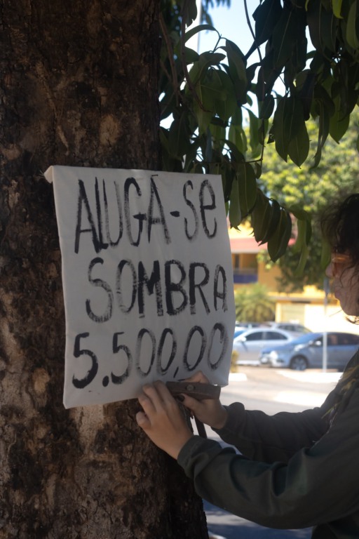 “Especulação Arbórea”: performance em Palmas escancara crise da moradia e falta de sombra na capital