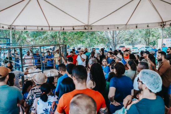 Matriz Nossa Senhora Aparecida fará II Leilão da Padroeira - Foto: Foto: Kadu Souza