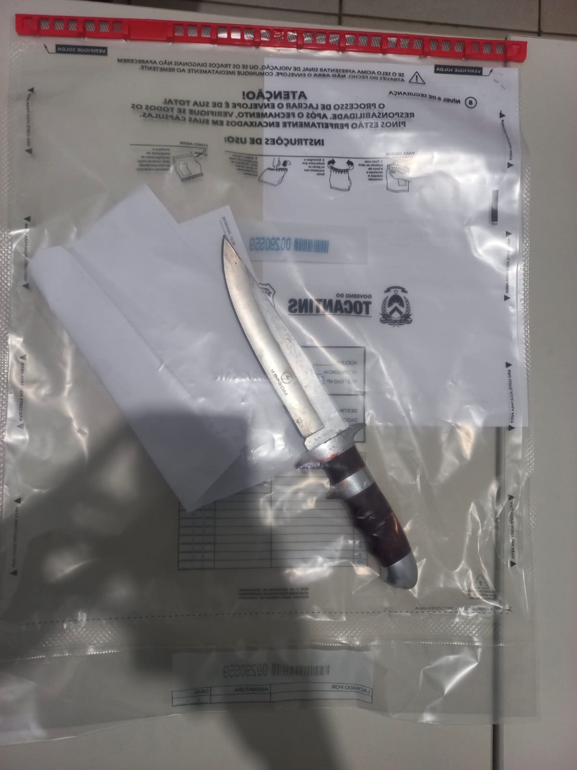 Suspeito de esfaquear focinho e patas de cachorro é preso em Palmas; animal segue internado